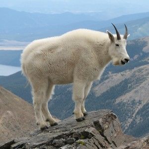 Meet your Posher, Dave